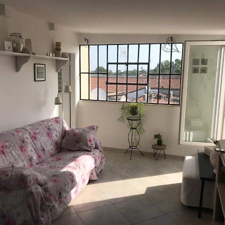 B&B Rooftop51 Rimini Luaran gambar